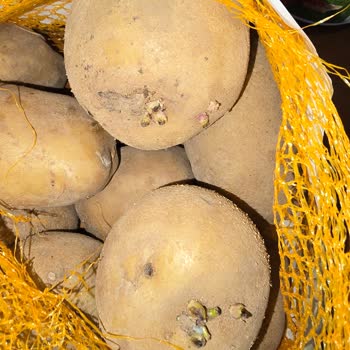 Yemeksepeti Market'ten Çürük, Aşırı Fiyatlı Ürünler Ve İade Reddi