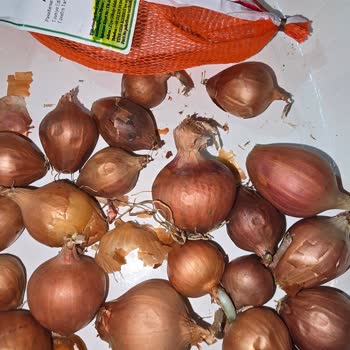 Yemeksepeti Market'ten Çürük, Aşırı Fiyatlı Ürünler Ve İade Reddi