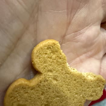 Kurabiyede Kıl Bulundu: Çocuklu Aileyi Endişelendiren Hijyen İhlali