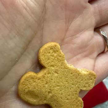 Kurabiyede Kıl Bulundu: Çocuklu Aileyi Endişelendiren Hijyen İhlali