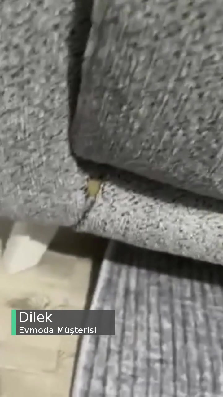 Evmoda Koltuk Sıkıntısı! videonun kapak resmi