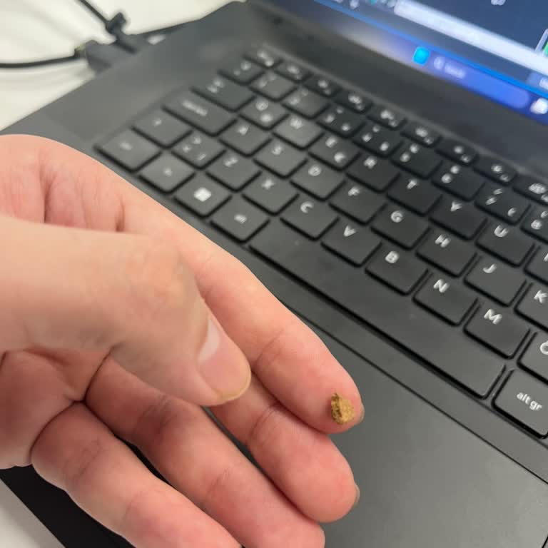 Vişneli Füme Ürününden Çakıl Taşı Çıktı: Sağlık Ve Hijyen İhlali