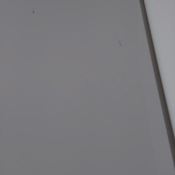 Elit Yuvam Nakliyat Pişmanlık Oldu