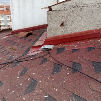 Çatıdaki Açıkta Bırakılan Cihaz Nedeniyle Feniks İnternet Kesintisi Ve Güvenlik Sorunu