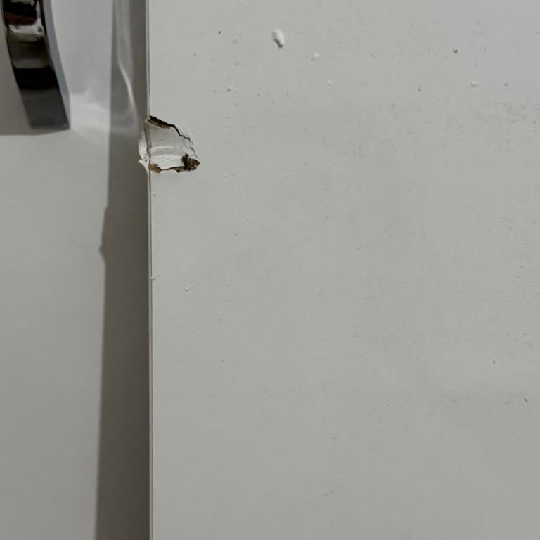 Trendyol'da Ağır Kitaplık İadesi İçin Destek Yokluğu