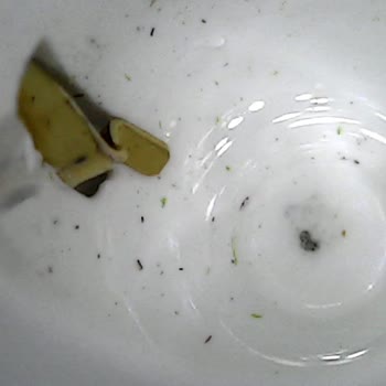 Vatan Bilgisayar'dan AirPods Garanti İadesi Reddi Ve Haksız Ücret Talebi