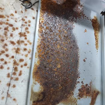 Mini Fırında Pas Oluşumu Sağlık Endişesi Ve Markaya Güven Kaybı