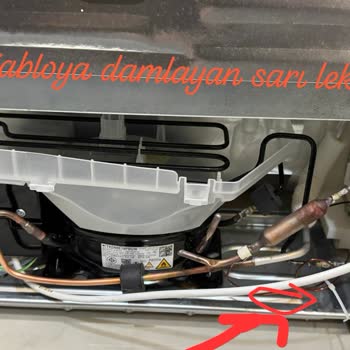 Elektrik Kaçağı Ve Oksitlenmiş Borularla Karşılaşılan Siemens Buzdolabının Değişim Talebi