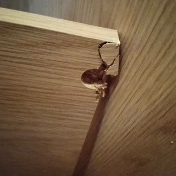 Kurulumda Hasar Gören Gardırop Ve İade Talebim