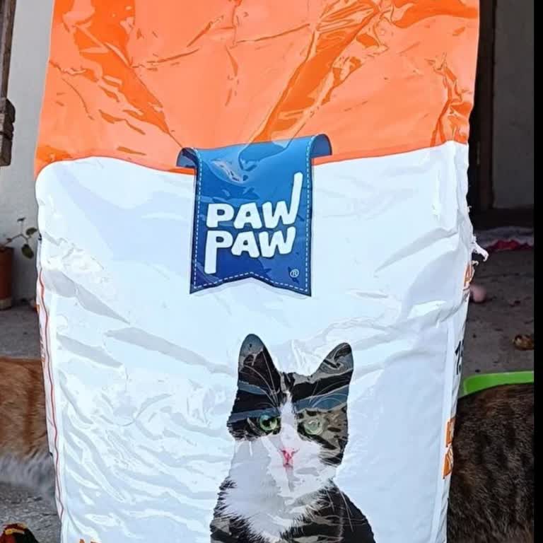 Pawpaw Balıklı Kedi Maması Zehirli: 6 Kedinin Ölümü Ve Geri Kalanların Hastalığı