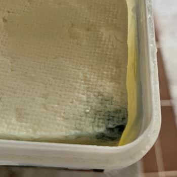 Sütaş Beyaz Peynir Açıldıktan 10 Günde Küflendi