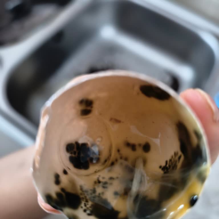 Agross Mağazacılık Şikayeti