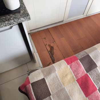 Sahibinden İlanı Gerçekten Uyuşmayan Ve Fiyatı Yanıltıcı Daire