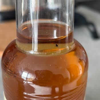 Şişede Sinek Bulunması Üzerine Şikayet Ve Kalite Kontrol Talebi