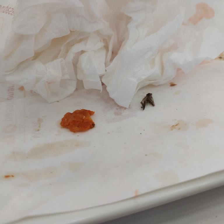 Paşa Döner İçinden Kelebek Çıktı