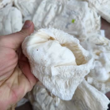 Sleepy Ecologic Külot Bez Ürününde Üretim Hatası Ve Kullanılamaz Durum