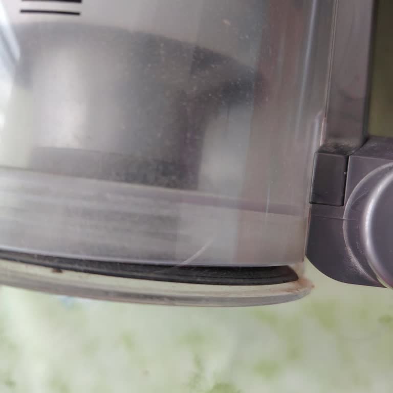 Alt Kapağın Kapanmaması Ve Çekim Gücünün Düşmesi