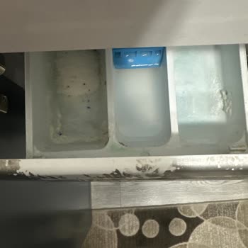 Bosch Çamaşır Makinesinde Renk Solması Ve Deterjan Çekmecesi Kalıntısı, Servis Hatası İddiası