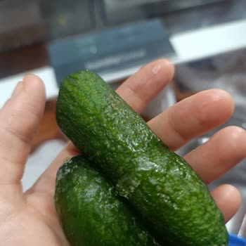 Buzdolabında Tüm Gıdalar Donuyor Ve Kart Arızası