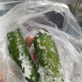 Buzdolabında Tüm Gıdalar Donuyor Ve Kart Arızası