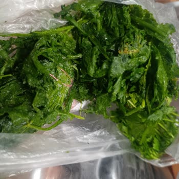 Buzdolabında Tüm Gıdalar Donuyor Ve Kart Arızası