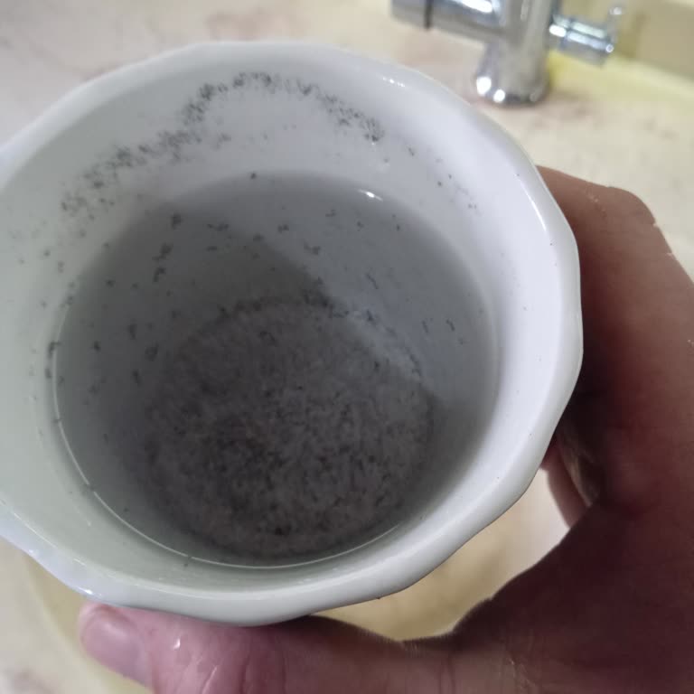 Filtre Eksikliği Nedeniyle Su Arıtma Cihazından Siyah Partiküller Ve Sağlık Tehlikesi