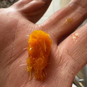 Dokuru Meyve Cipsinde Yabancı Madde Sorunu Ve Hijyen Endişesi