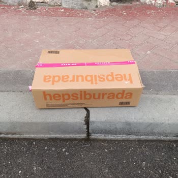 Seri Numarası Fatura Hatası Ve Orijinal Kutusuz HP Laptopta Mavi Ekran Sorunu