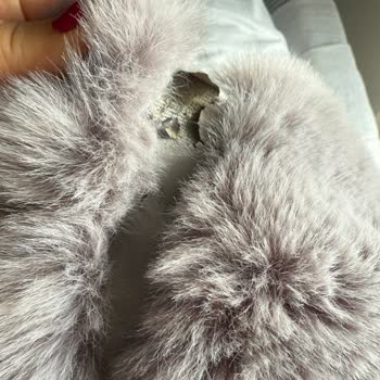 Yargıcı Pelüş Kaban Deri Şeritlerinin 2 Yılda Soyulması Ve Garanti Dışı Sorun