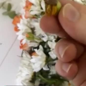 Çiçek Sepeti Taze Çiçek Beklerken Ölü Çiçek Geldi!