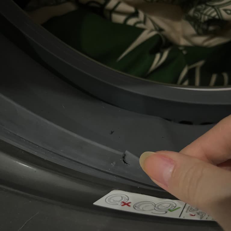 Arçelik Çamaşır Makinesinin Lastiği Yırtıldı; Garanti Kapsamı Talep Ediyorum