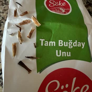 Migros Sanal Market'ten Aldığım Tam Buğday Ununda Yabancı Madde Bulundu