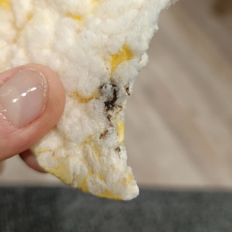 Körfez’de Satın Aldığım Eti Gong Pirinç Patlağında Yabancı Madde Çıktı, Sağlık Endişesi