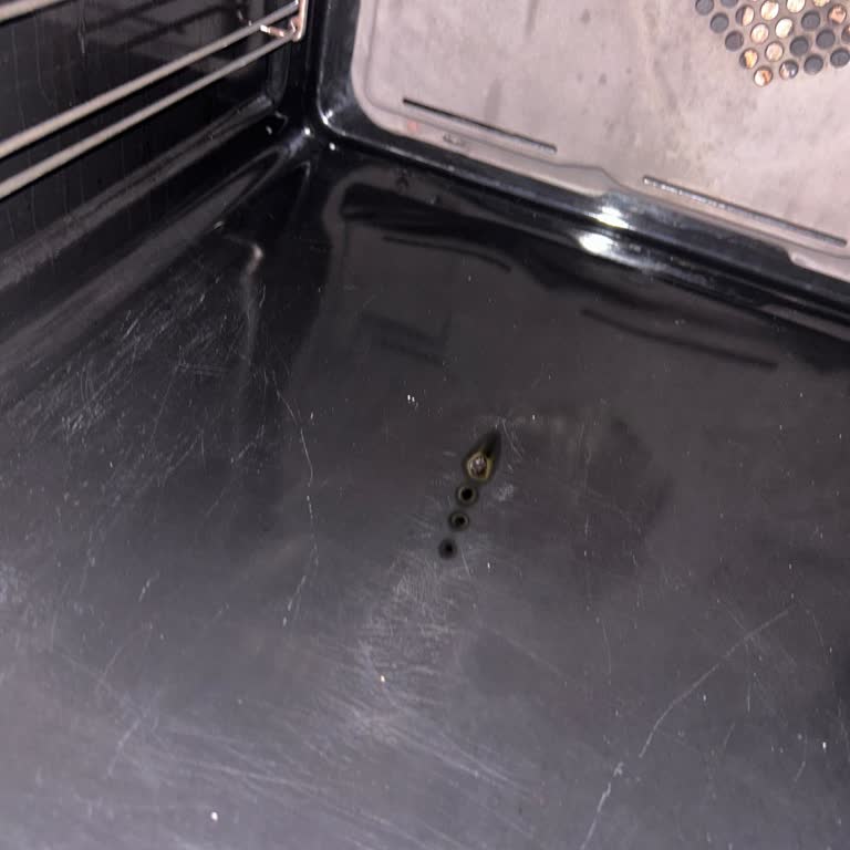 Arçelik Ankastre Fırın Sürekli Arıza Ve Parça Değişikliğiyle Çözülmüyor