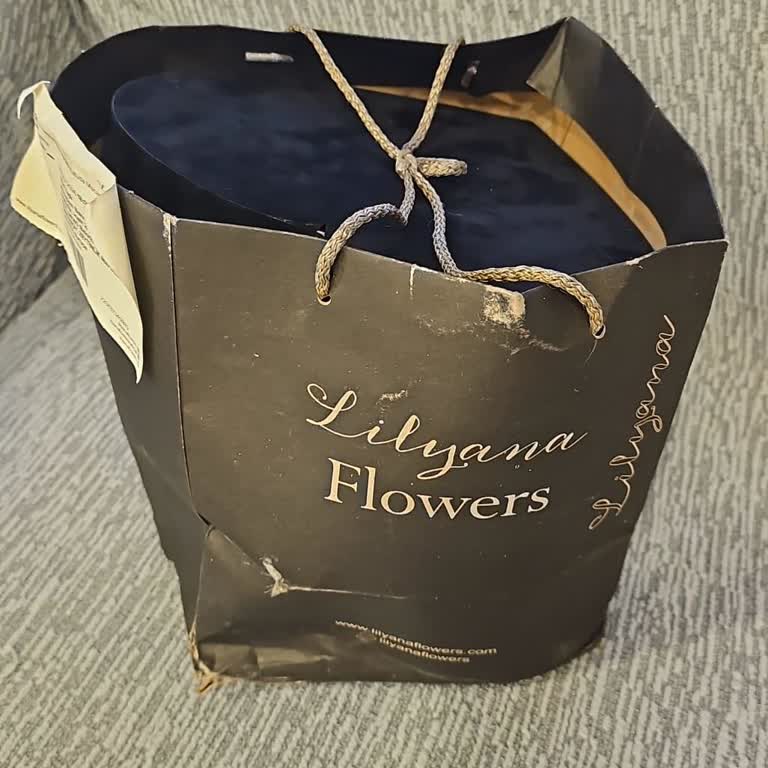 Lilyana Flowers’ta Hastane Teslimatında Koordinasyon Eksikliği Ve İlgisizlik