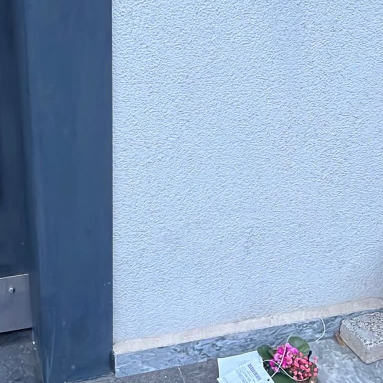 Üçüncü Teslimatta Bozuk Ve Eksik Teraryum, Tam İade Talebi