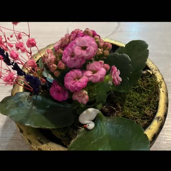 Eksik Ve Hasarlı Teraryum, Tam İade Talebi