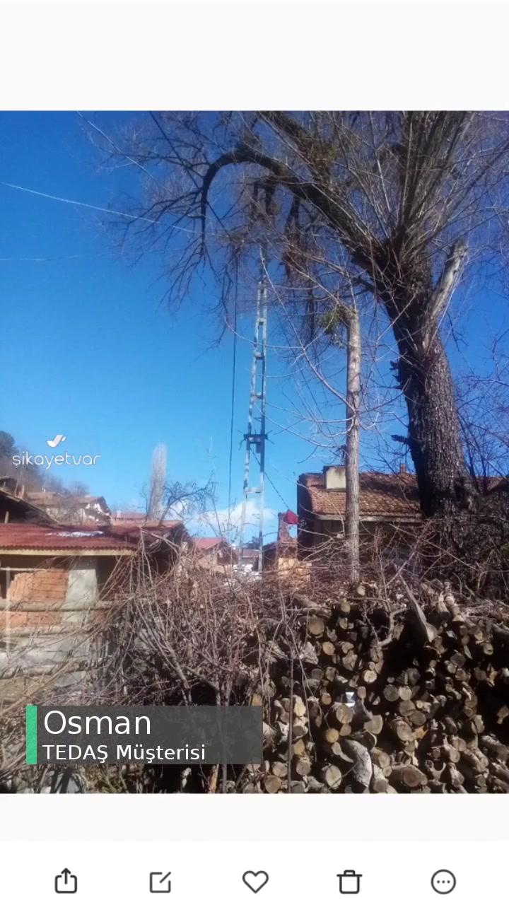 TEDAŞ Elektrik Kablosuna Zarar Veren Ağaç videonun kapak resmi