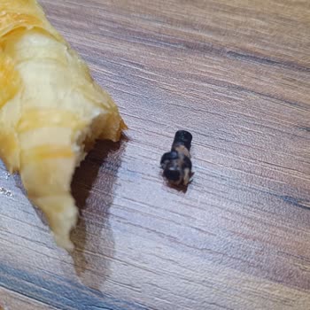 A101 Şubesindeki Nimet Böreğinde Civata Çıktı Ve Dişim Kırıldı