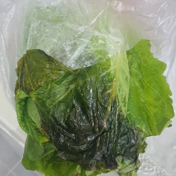 Marulun Çürük Gelmesi Ve Cevapsız Müşteri Desteği