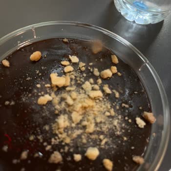 Supangle Tatlısında Küf Görülmesi Ve Hijyen Sorunu