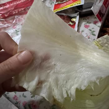 Ömer Aybak Adıyaman Çiğköftecisi Böcekli Sipariş Ve İade Reddi