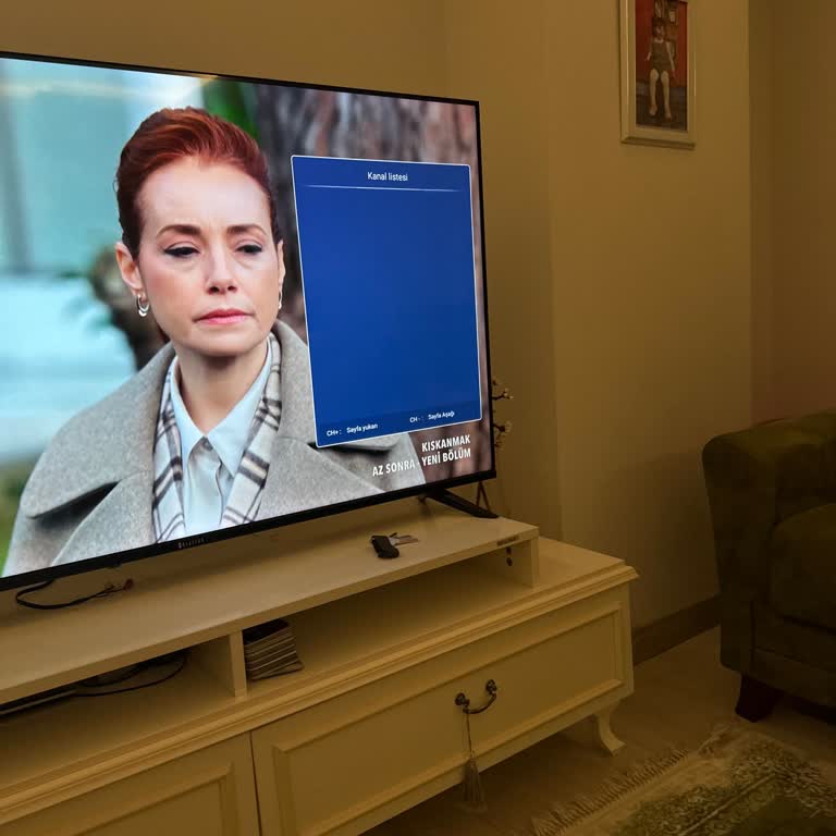 Dijitsu Televizyonunda Kanal Listesi Görülemiyor Ve Tuşlar Çalışmıyor
