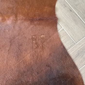 İKEA'dan Satın Alınan İnek Postu Üzerindeki Damga Nedeniyle Değişim Talebi