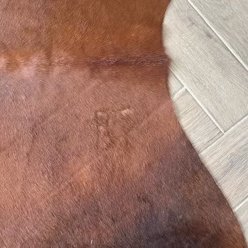 İKEA'dan Satın Alınan İnek Postu Üzerindeki Damga Nedeniyle Değişim Talebi