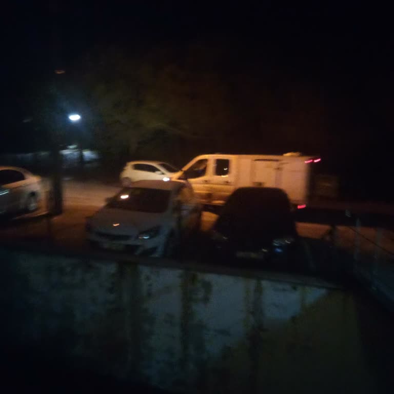 Kocaeli Büyükşehir Belediyesi Gece Yarısı Usulsüz Sokak Köpek Toplama Uygulamasına Karşı Şikayet