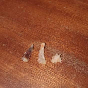 Capitol AVM Popeyes Şubesinde Küçük Soğuk Nuggets Ve Kemikli Sandviç İçin Cevapsız Şikayet