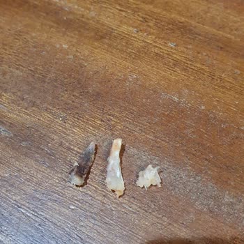 Capitol AVM Popeyes Şubesinde Küçük Soğuk Nuggets Ve Kemikli Sandviç İçin Cevapsız Şikayet