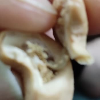 Kuruyemiş Paketi İçinde Kurt Tespiti Ve Hijyen Şikayeti