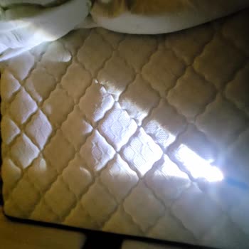 İki Bölümde Çöken Yatak Ve Yetersiz Teknik Destek